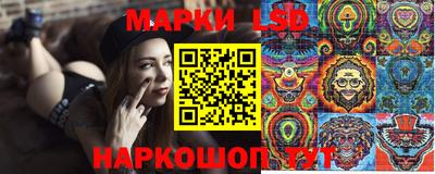 прущие грибы Дубна