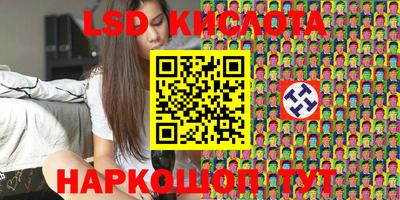 прущие грибы Дубна