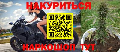 прущие грибы Дубна