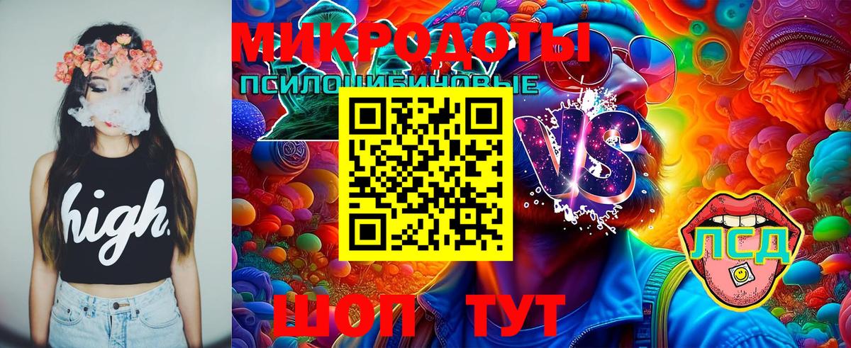 Галлюциногенные грибы Psilocybine cubensis  Вход с VPN  Псилоцибиновые грибы Psilocybine cubensis  Ликино-Дулёво 