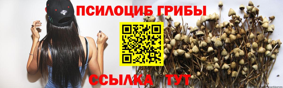 Псилоцибиновые грибы Magic Shrooms Ликино-Дулёво